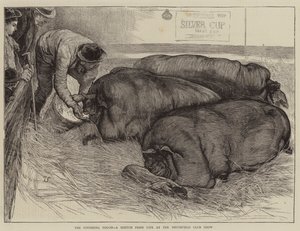 Une touche finale, un croquis de la vie au Smithfield Club Show - William Small